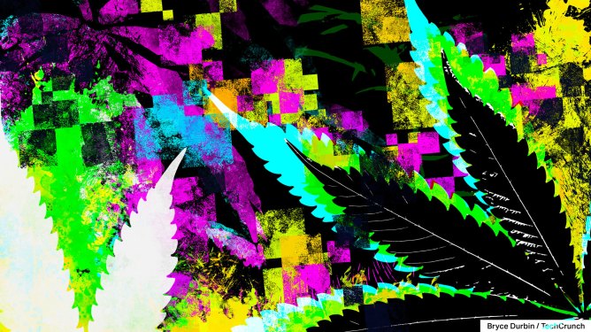 cannabis survey 1